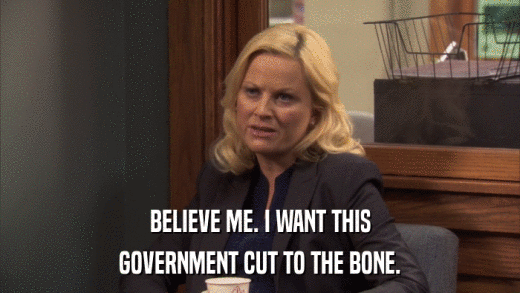 BELIEVE ME. I WANT THIS GOVERNMENT CUT TO THE BONE. 