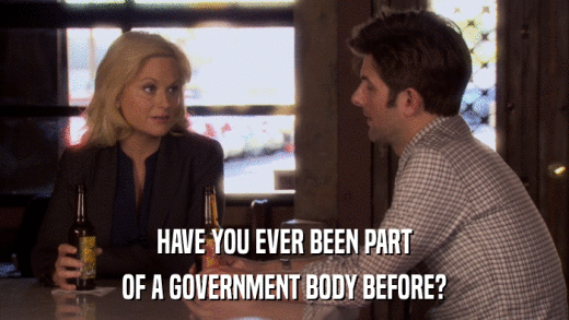 HAVE YOU EVER BEEN PART OF A GOVERNMENT BODY BEFORE? 