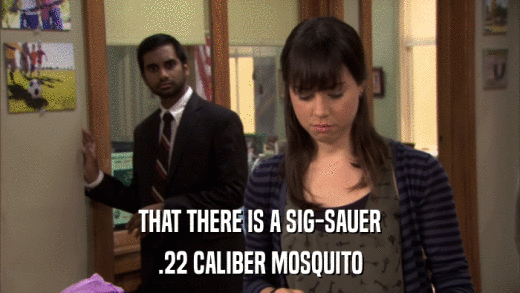 THAT THERE IS A SIG-SAUER .22 CALIBER MOSQUITO 