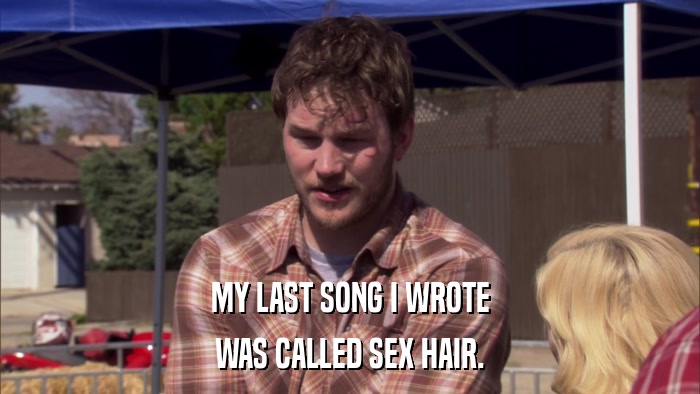 MY LAST SONG I WROTE WAS CALLED SEX HAIR. 