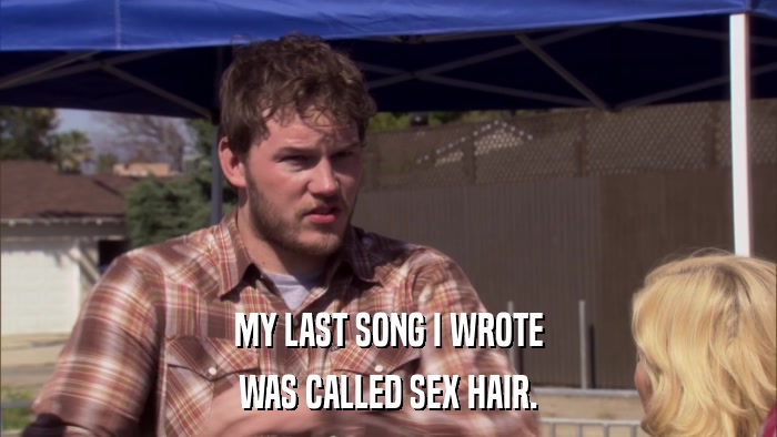 MY LAST SONG I WROTE WAS CALLED SEX HAIR. 