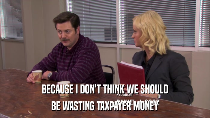 BECAUSE I DON'T THINK WE SHOULD BE WASTING TAXPAYER MONEY 