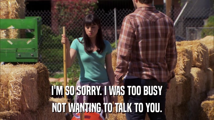 I'M SO SORRY. I WAS TOO BUSY NOT WANTING TO TALK TO YOU. 