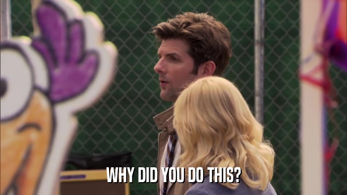 WHY DID YOU DO THIS?  