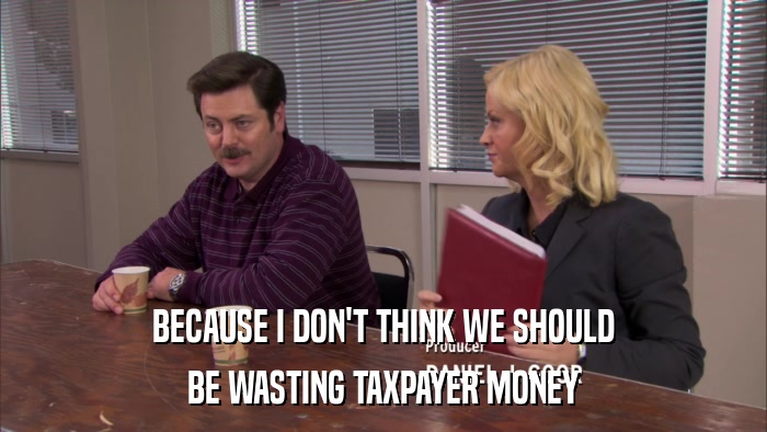 BECAUSE I DON'T THINK WE SHOULD BE WASTING TAXPAYER MONEY 