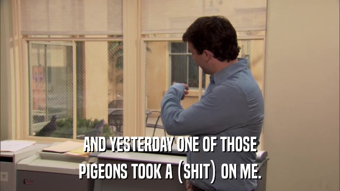 AND YESTERDAY ONE OF THOSE PIGEONS TOOK A (SHIT) ON ME. 