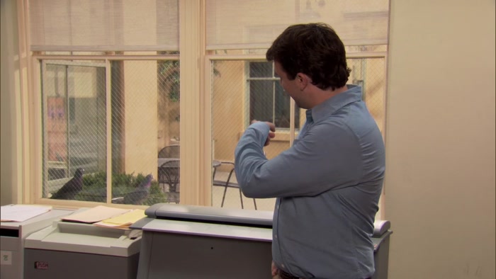 AND YESTERDAY ONE OF THOSE PIGEONS TOOK A (SHIT) ON ME. 