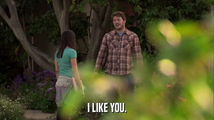 I LIKE YOU.  