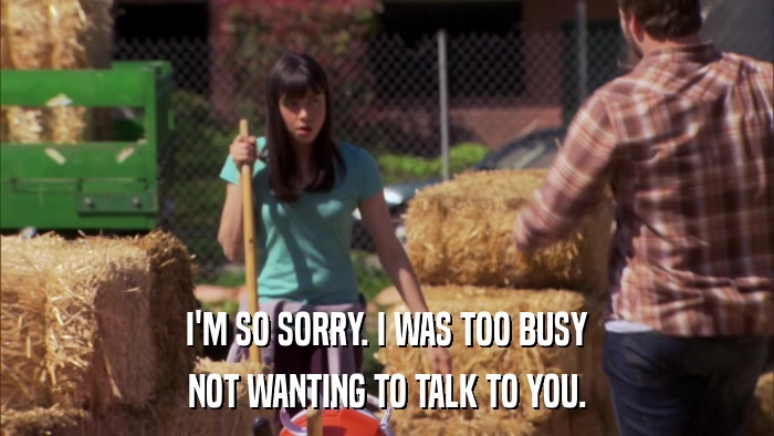 I'M SO SORRY. I WAS TOO BUSY NOT WANTING TO TALK TO YOU. 