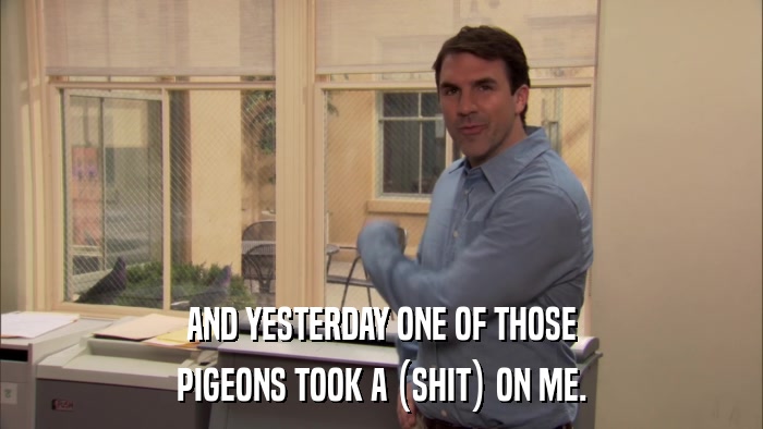 AND YESTERDAY ONE OF THOSE PIGEONS TOOK A (SHIT) ON ME. 