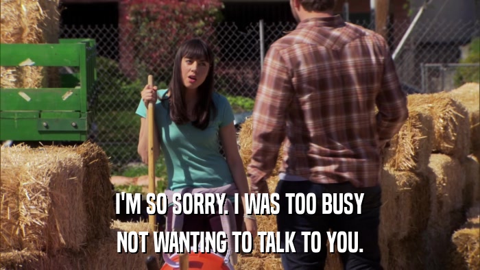I'M SO SORRY. I WAS TOO BUSY NOT WANTING TO TALK TO YOU. 