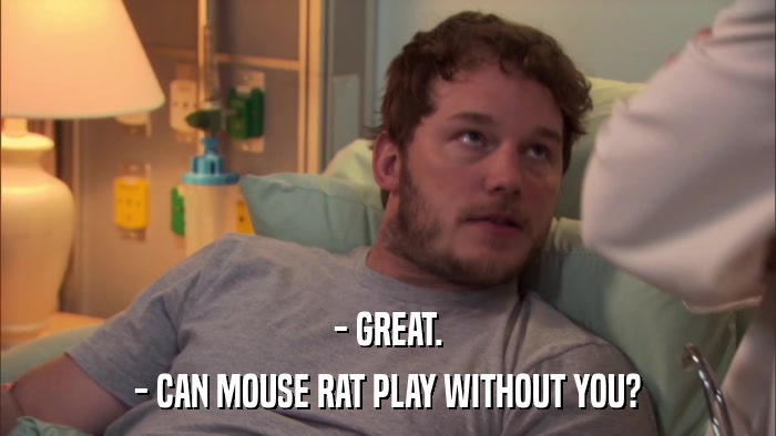 - GREAT. - CAN MOUSE RAT PLAY WITHOUT YOU? 