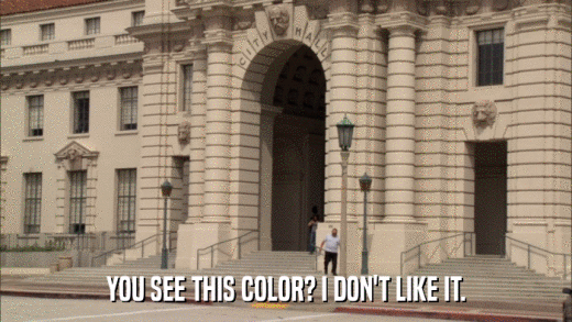 YOU SEE THIS COLOR? I DON'T LIKE IT.  