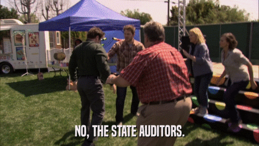 NO, THE STATE AUDITORS.  