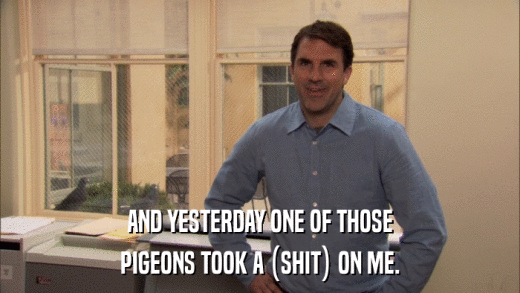 AND YESTERDAY ONE OF THOSE PIGEONS TOOK A (SHIT) ON ME. 