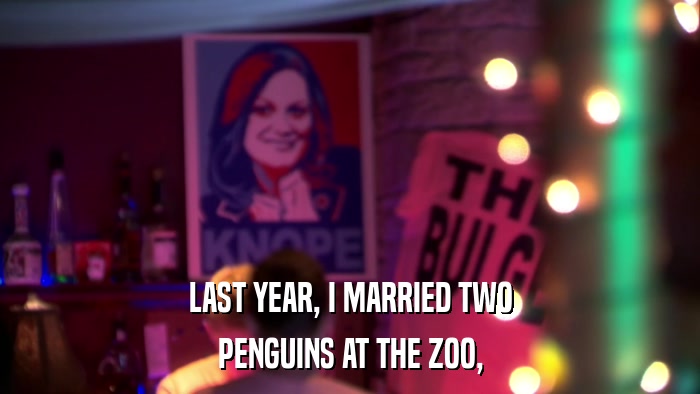 LAST YEAR, I MARRIED TWO PENGUINS AT THE ZOO, 