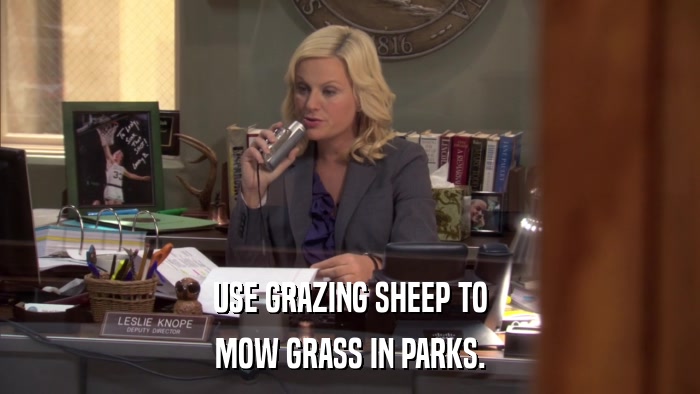 USE GRAZING SHEEP TO MOW GRASS IN PARKS. 