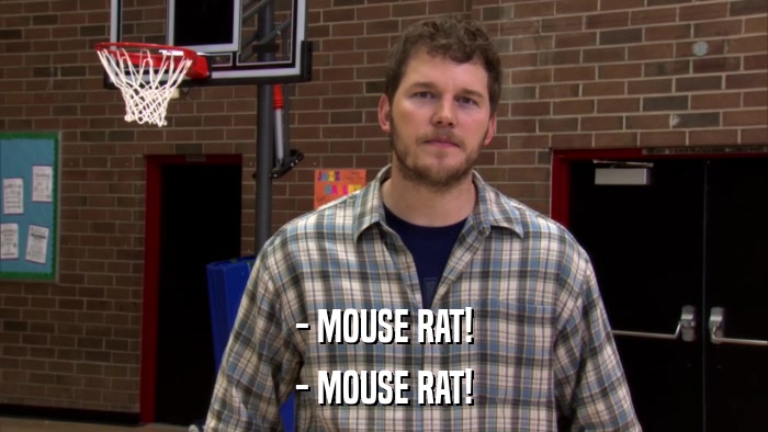- MOUSE RAT! - MOUSE RAT! 