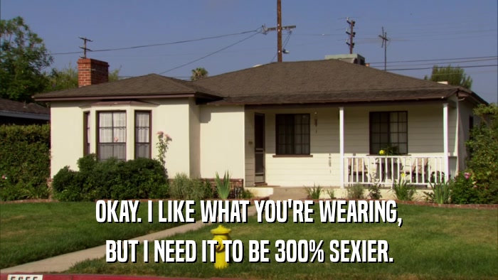 OKAY. I LIKE WHAT YOU'RE WEARING, BUT I NEED IT TO BE 300% SEXIER. 