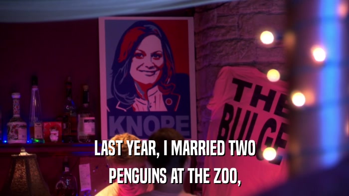 LAST YEAR, I MARRIED TWO PENGUINS AT THE ZOO, 