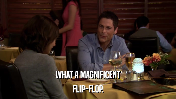 WHAT A MAGNIFICENT FLIP-FLOP. 