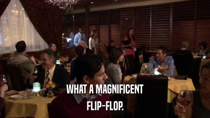 WHAT A MAGNIFICENT FLIP-FLOP. 