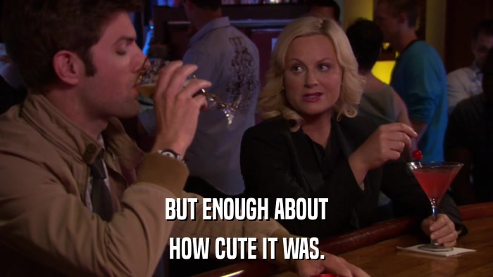BUT ENOUGH ABOUT HOW CUTE IT WAS. 