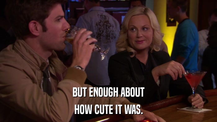 BUT ENOUGH ABOUT HOW CUTE IT WAS. 