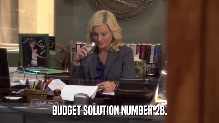 BUDGET SOLUTION NUMBER 28.  