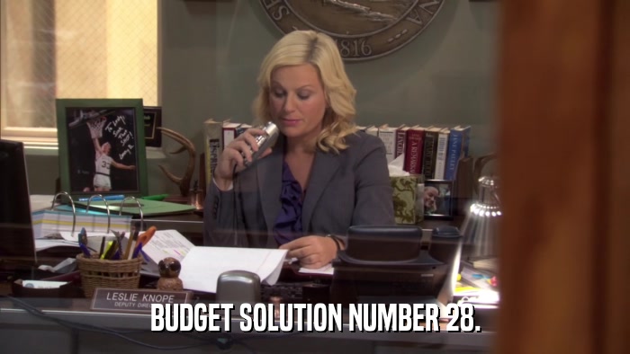 BUDGET SOLUTION NUMBER 28.  