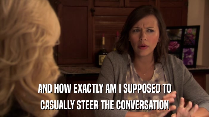 AND HOW EXACTLY AM I SUPPOSED TO CASUALLY STEER THE CONVERSATION 