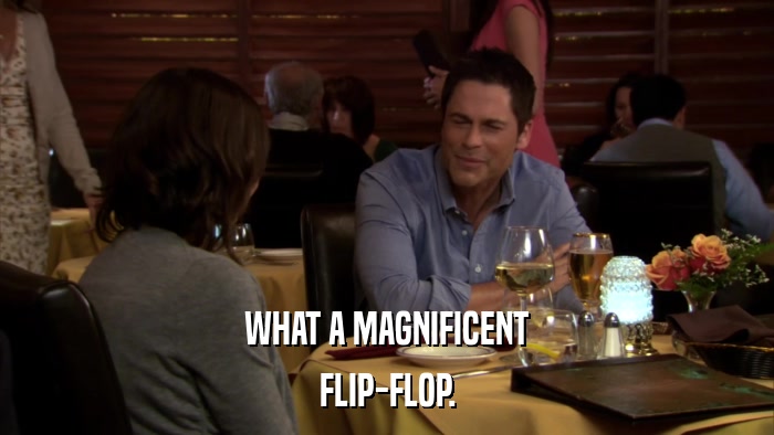 WHAT A MAGNIFICENT FLIP-FLOP. 