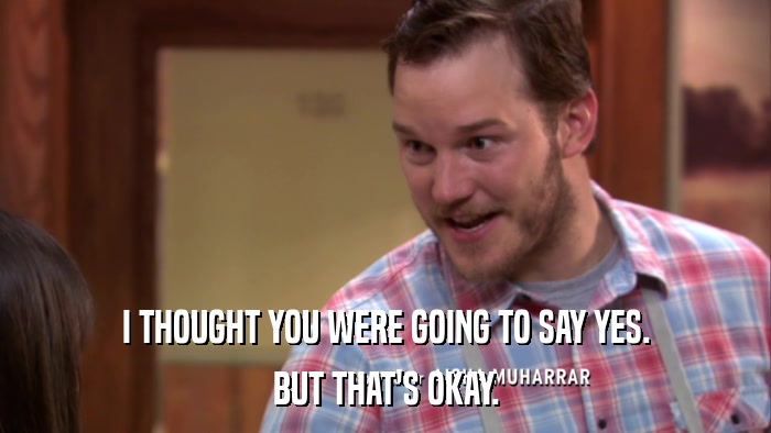 I THOUGHT YOU WERE GOING TO SAY YES. BUT THAT'S OKAY. 
