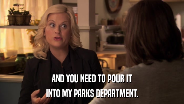 AND YOU NEED TO POUR IT INTO MY PARKS DEPARTMENT. 