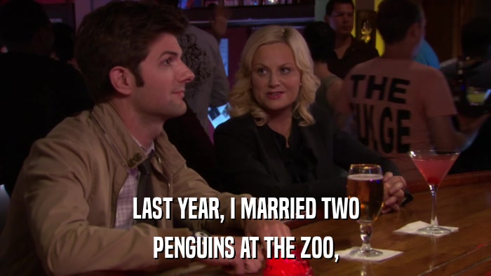 LAST YEAR, I MARRIED TWO PENGUINS AT THE ZOO, 