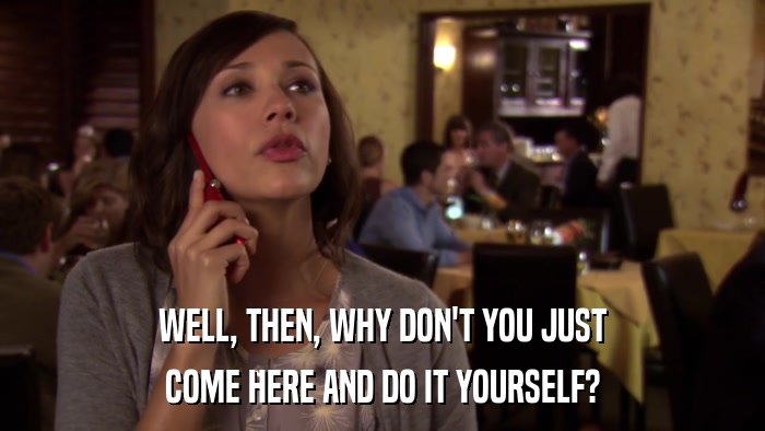 WELL, THEN, WHY DON'T YOU JUST COME HERE AND DO IT YOURSELF? 