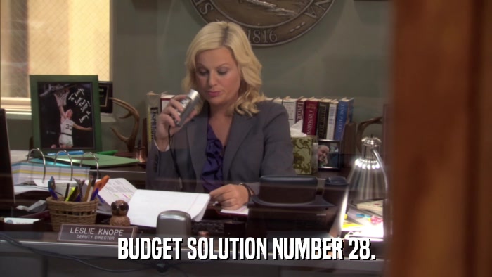 BUDGET SOLUTION NUMBER 28.  