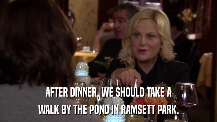 AFTER DINNER, WE SHOULD TAKE A WALK BY THE POND IN RAMSETT PARK. 