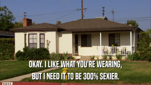 OKAY. I LIKE WHAT YOU'RE WEARING, BUT I NEED IT TO BE 300% SEXIER. 