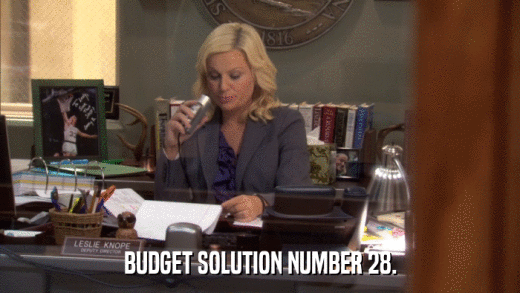 BUDGET SOLUTION NUMBER 28.  