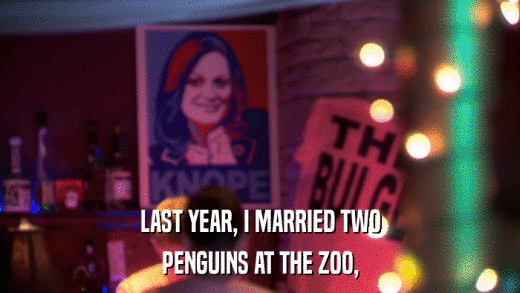 LAST YEAR, I MARRIED TWO PENGUINS AT THE ZOO, 