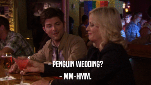 - PENGUIN WEDDING? - MM-HMM. 