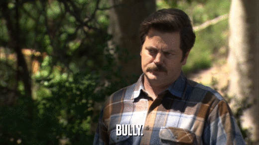 BULLY.  