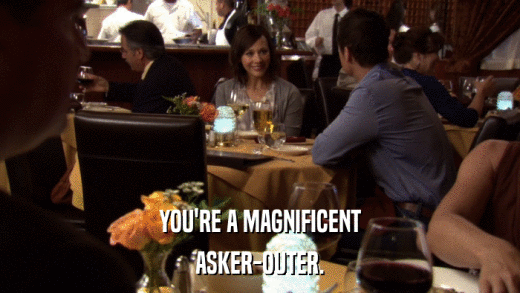 YOU'RE A MAGNIFICENT ASKER-OUTER. 