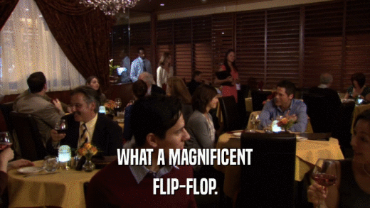 WHAT A MAGNIFICENT FLIP-FLOP. 