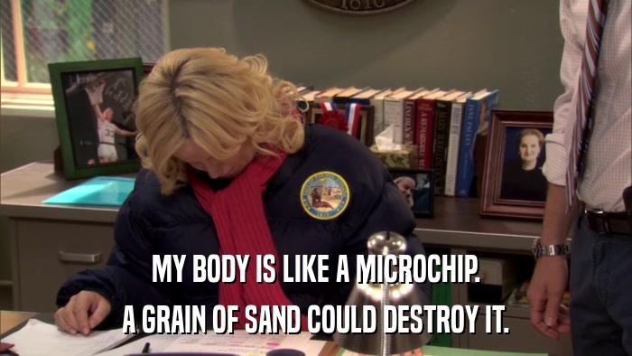 MY BODY IS LIKE A MICROCHIP. A GRAIN OF SAND COULD DESTROY IT. 