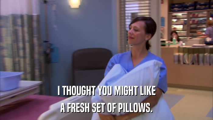I THOUGHT YOU MIGHT LIKE A FRESH SET OF PILLOWS. 