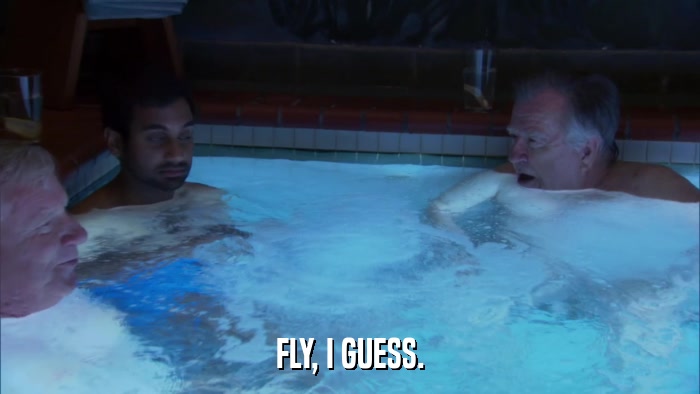 FLY, I GUESS.  