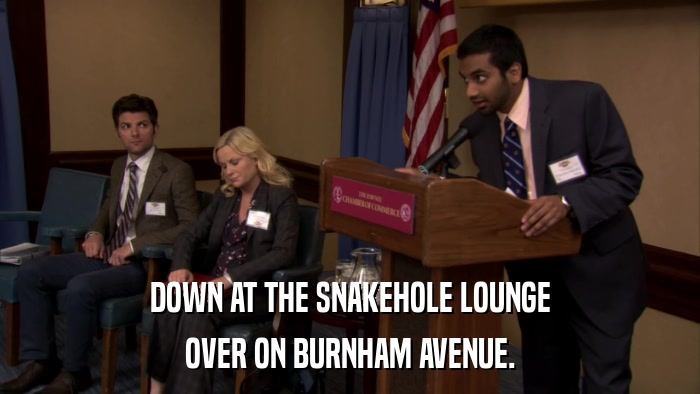DOWN AT THE SNAKEHOLE LOUNGE OVER ON BURNHAM AVENUE. 