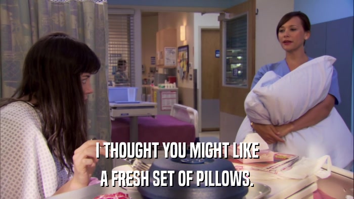 I THOUGHT YOU MIGHT LIKE A FRESH SET OF PILLOWS. 